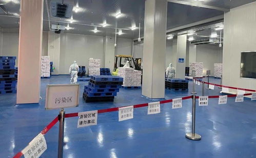 筑牢冷鏈?zhǔn)称钒踩谰€ 珠海西域碼頭開展進口冷鏈預(yù)防性全面消毒工作