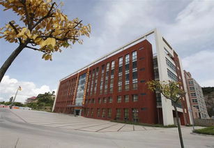 珠海金灣5所本科高校投檔線公布，職業(yè)教育培訓(xùn)助力學(xué)子成才